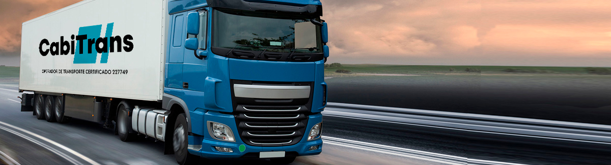 empresas de transporte palma de mallorca